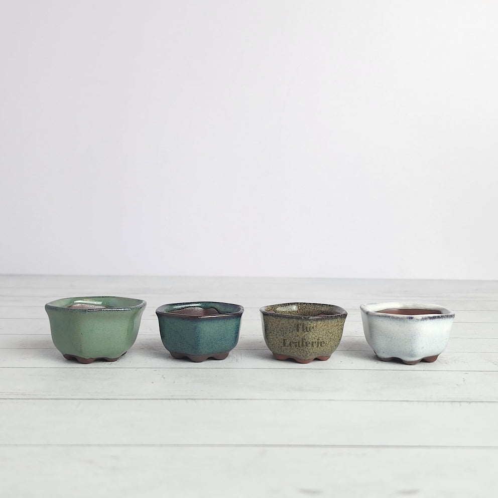 Petit Bonsai Pot (Series 16) Hexagon shape
