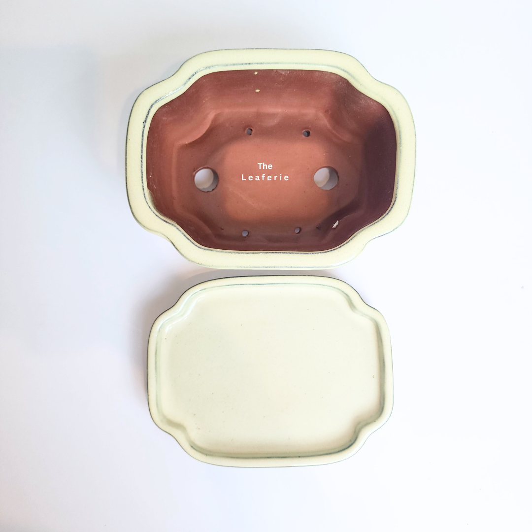 Bonsai Flowerpot (Series 40) with tray