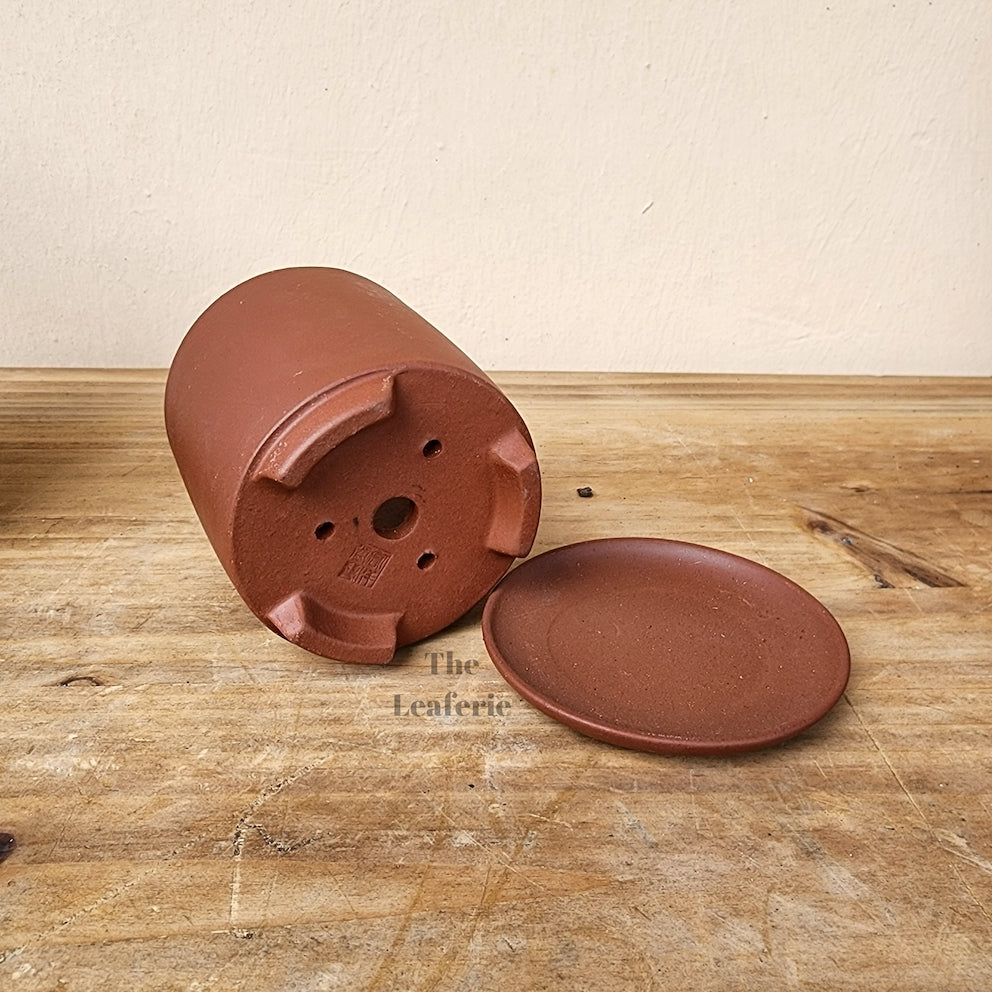 Noemie Mini Bonsai Pot (Series 1)