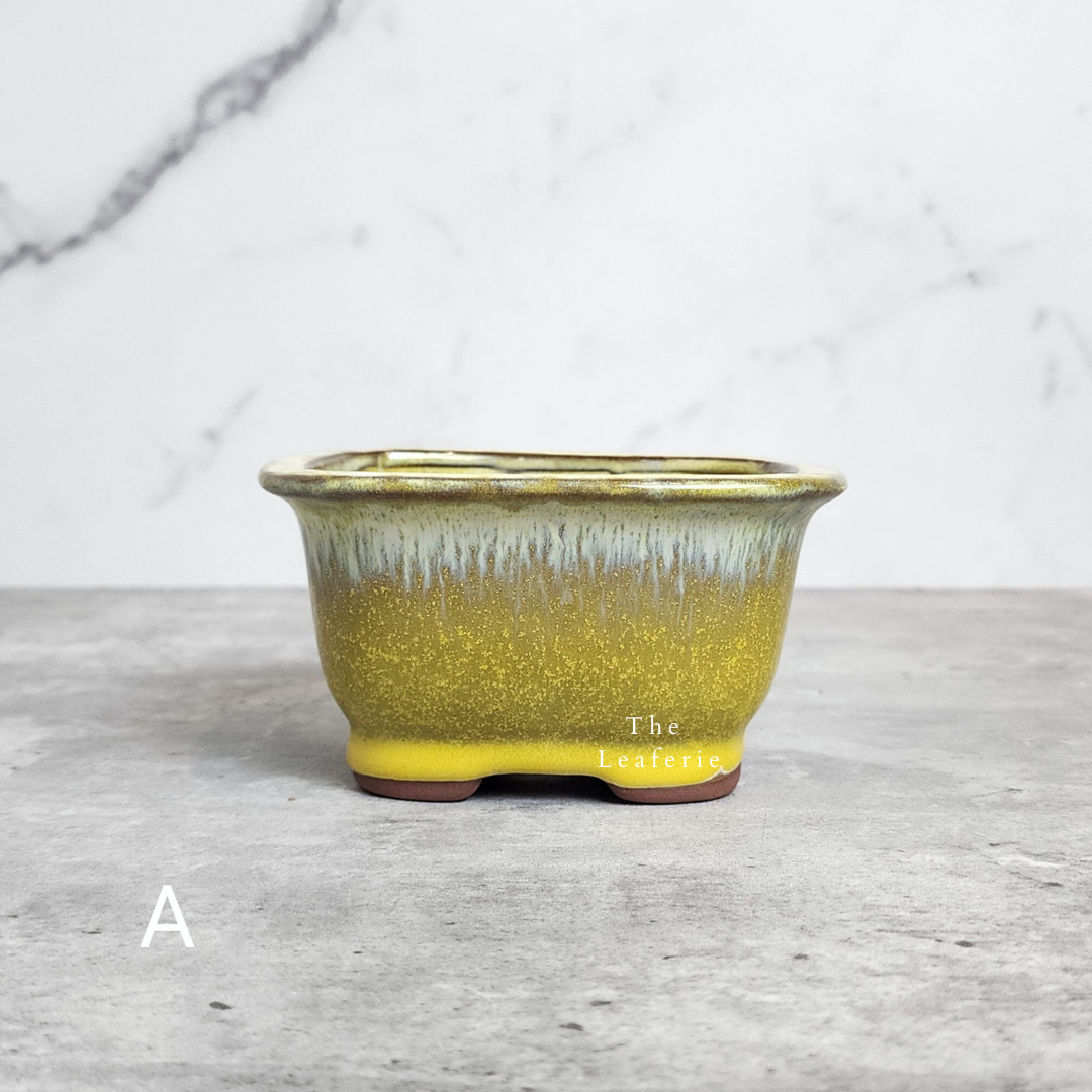 Bonsai Flowerpot (Series 24)