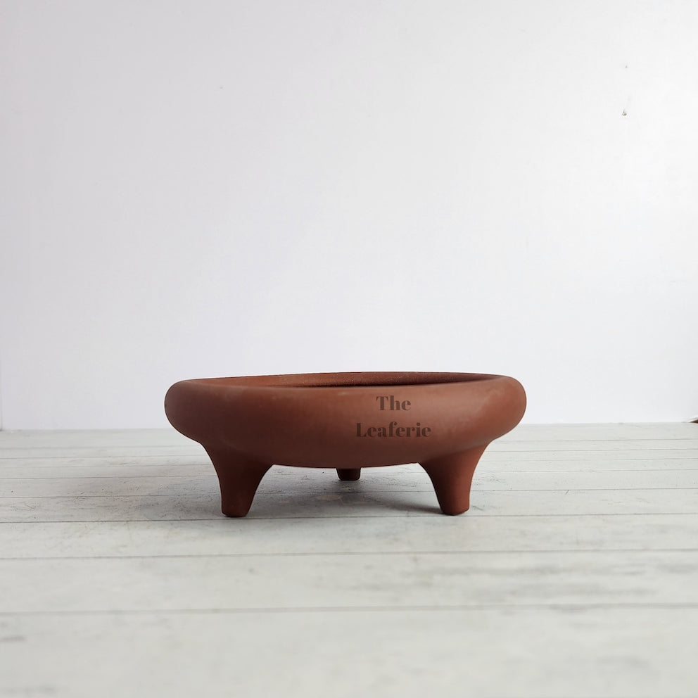 Petit Bonsai Tray / flowerpot (Series 4)