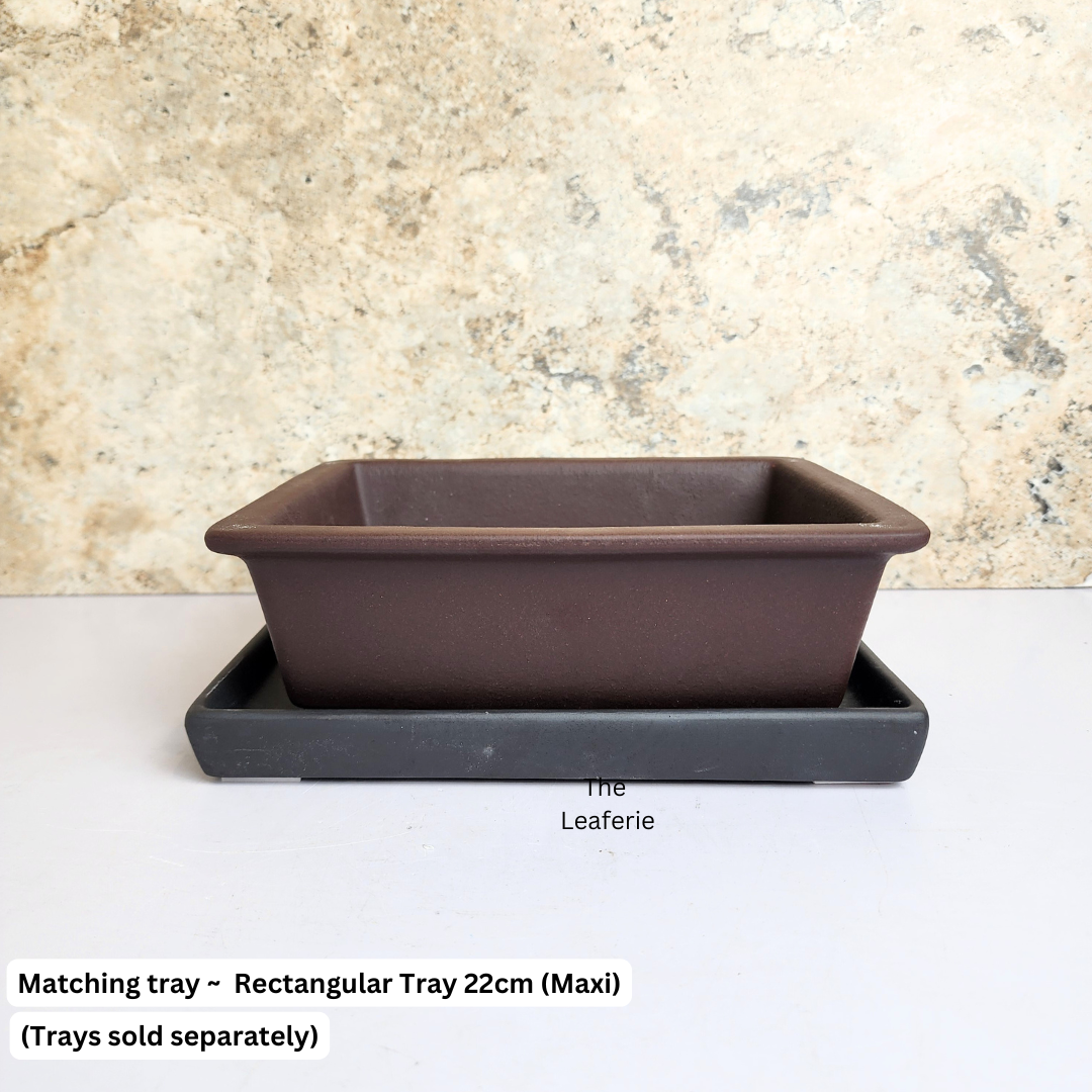 Bonsai Rectangular (Series 3) Flowerpot