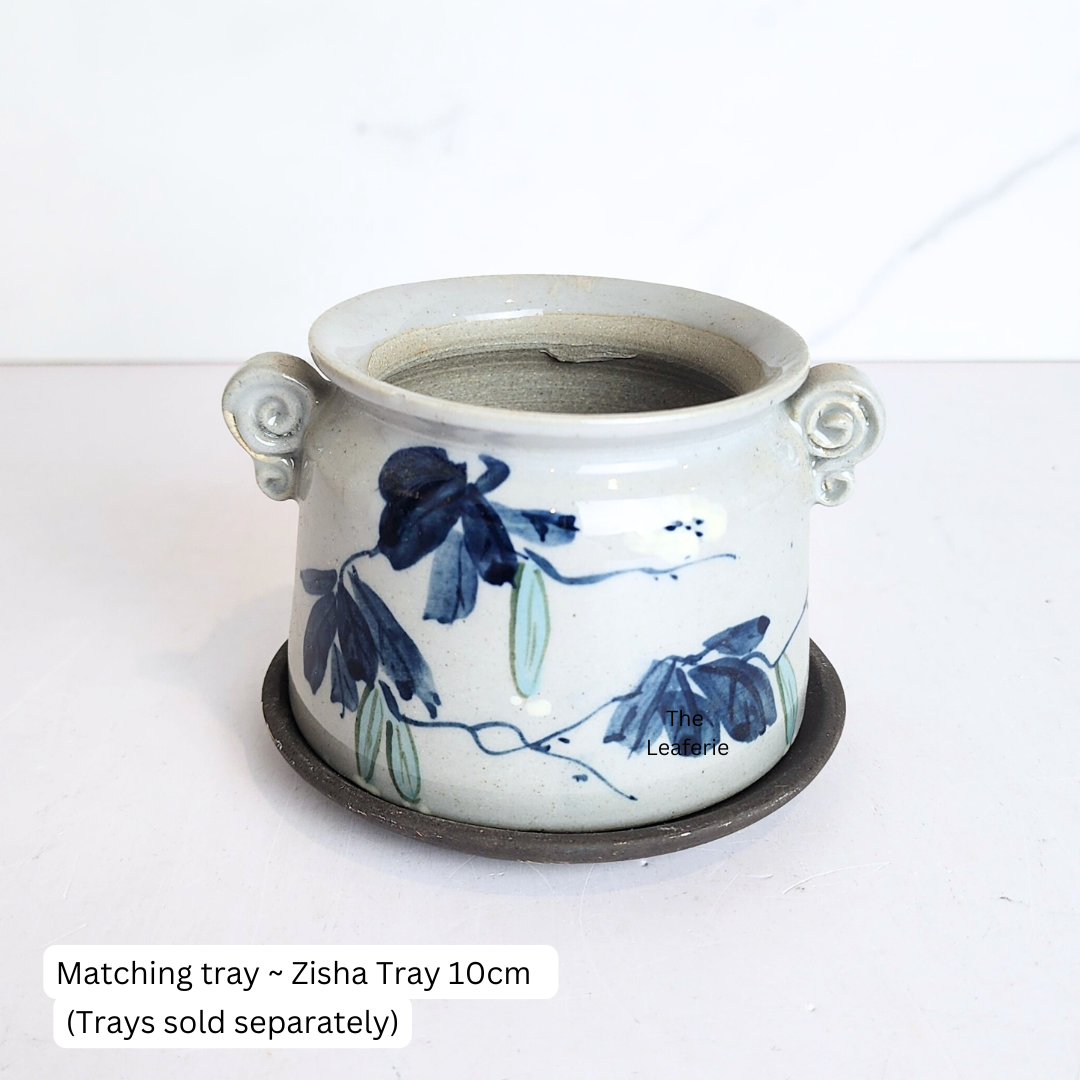 Petit Allegra Flowerpot (Series 6)