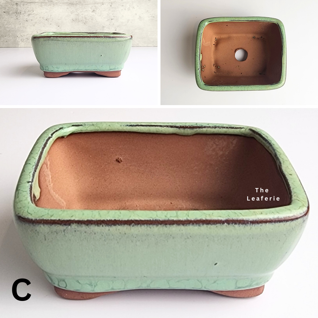 Bonsai Flowerpot (Series 33)