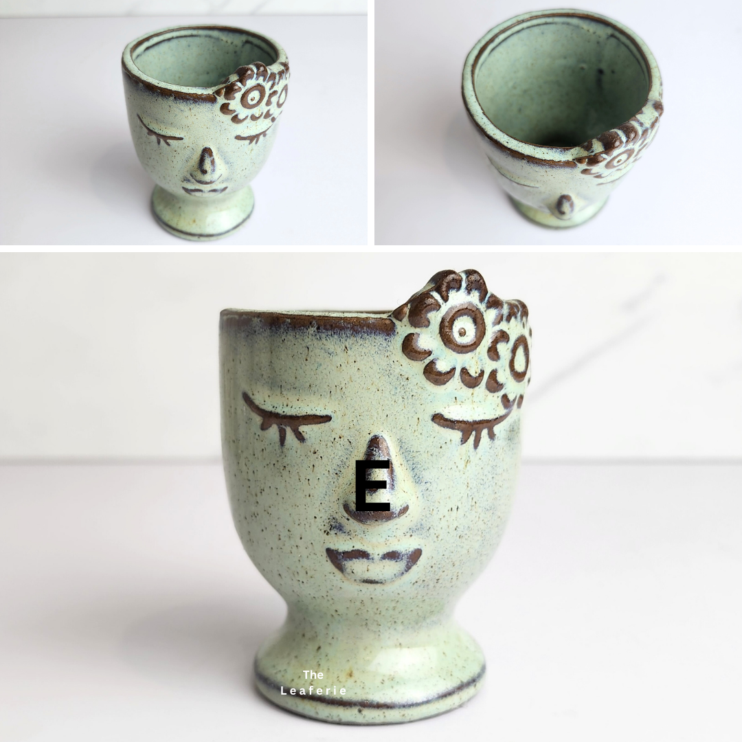 Petit Flowerpots (Series 13)