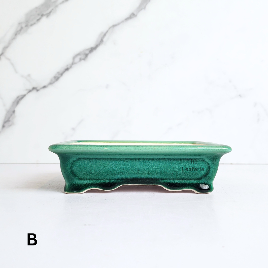 Bonsai Flowerpot (Series 67) Rectangular