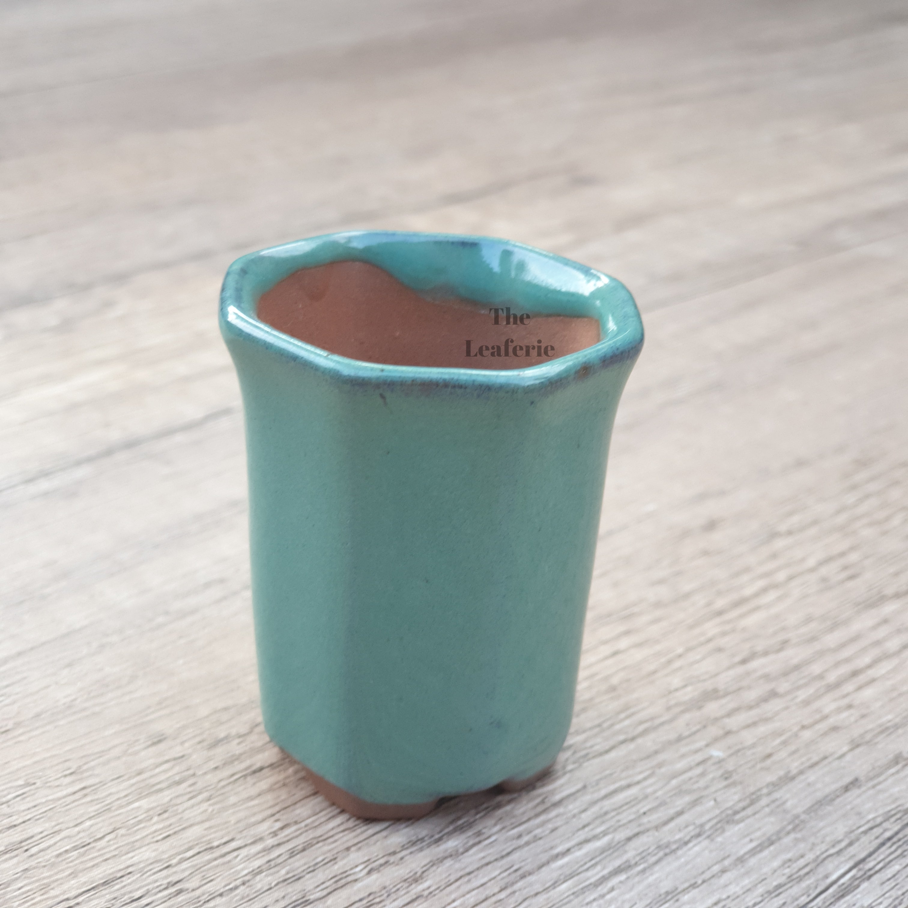 Petit Bonsai Pot (Series 7)