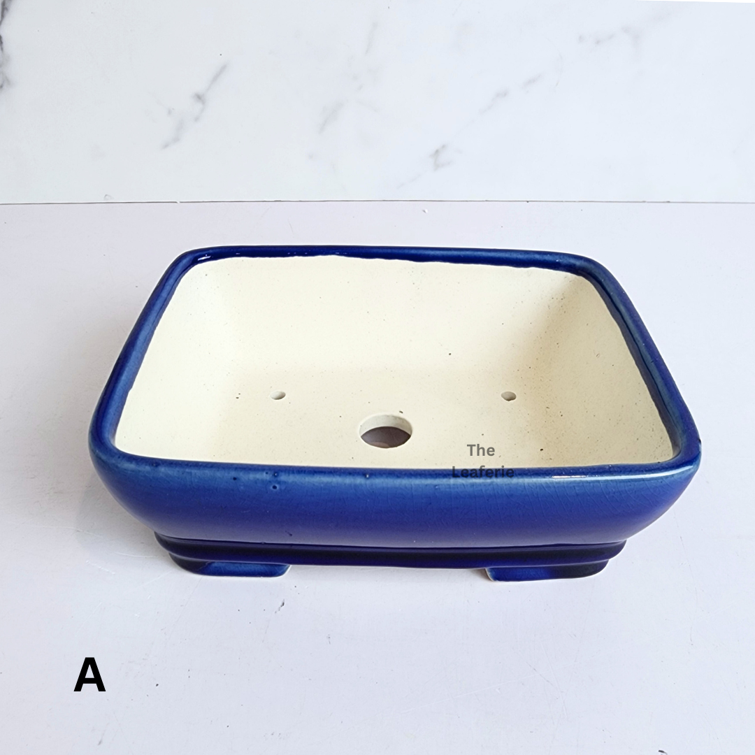 Bonsai Flowerpot (Series 66) Rectangular