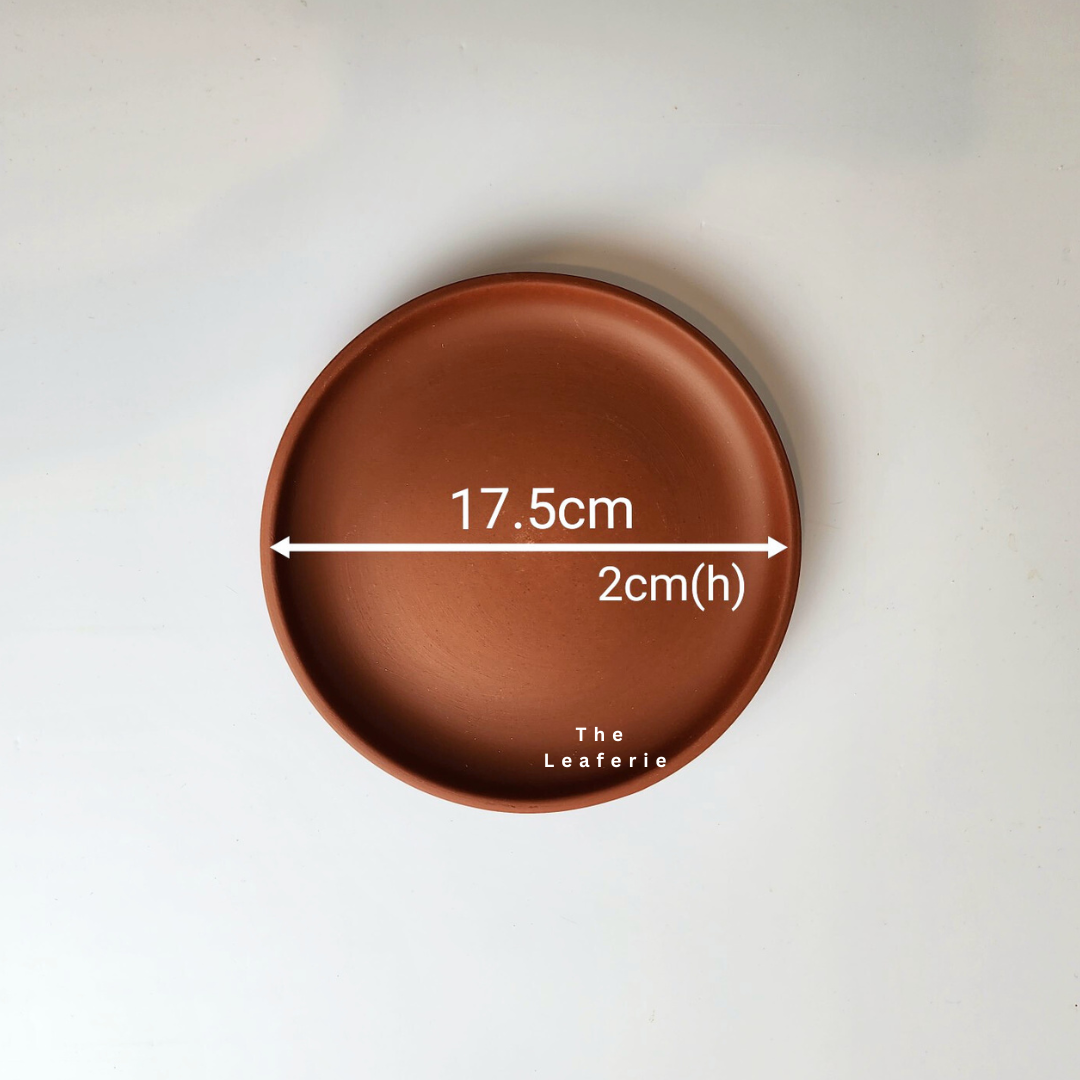 Zisha Large Trays (3 Colours)