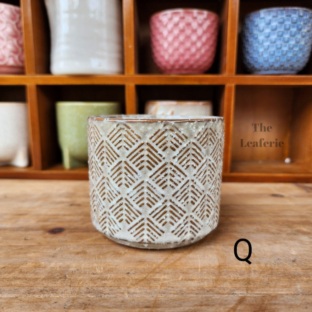 Petit Flowerpots (Series 7)