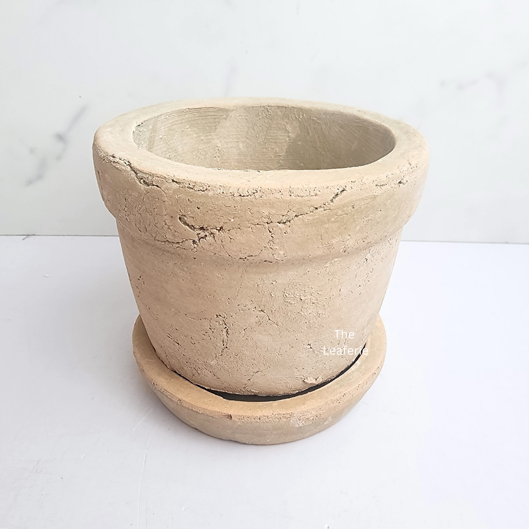 Yaritza Terracotta Flowerpot