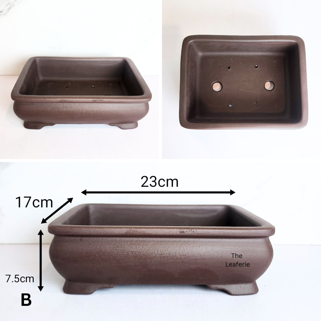 Bonsai Flowerpot (Series 72)