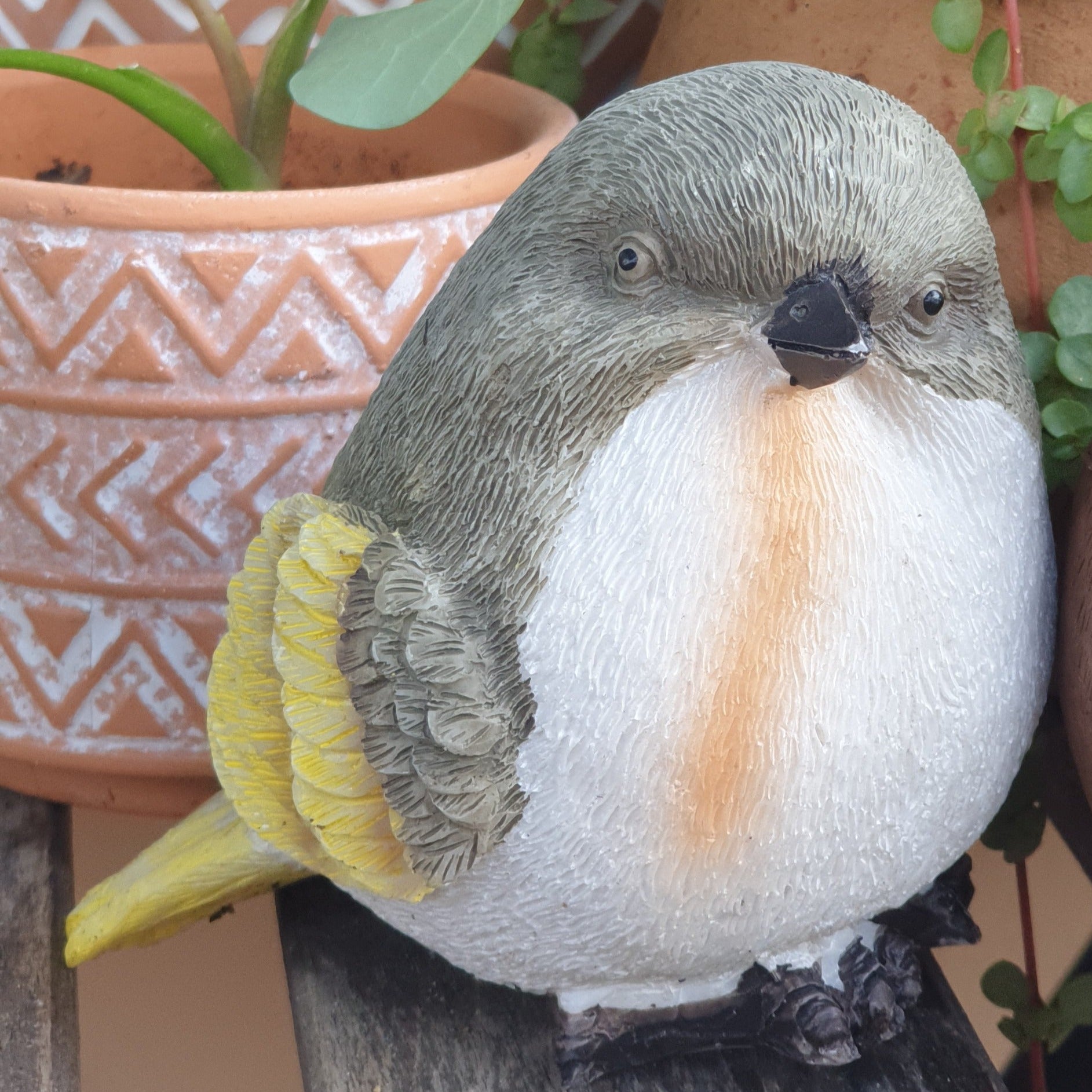 Birds Garden Decorations (Set of 6 birds)