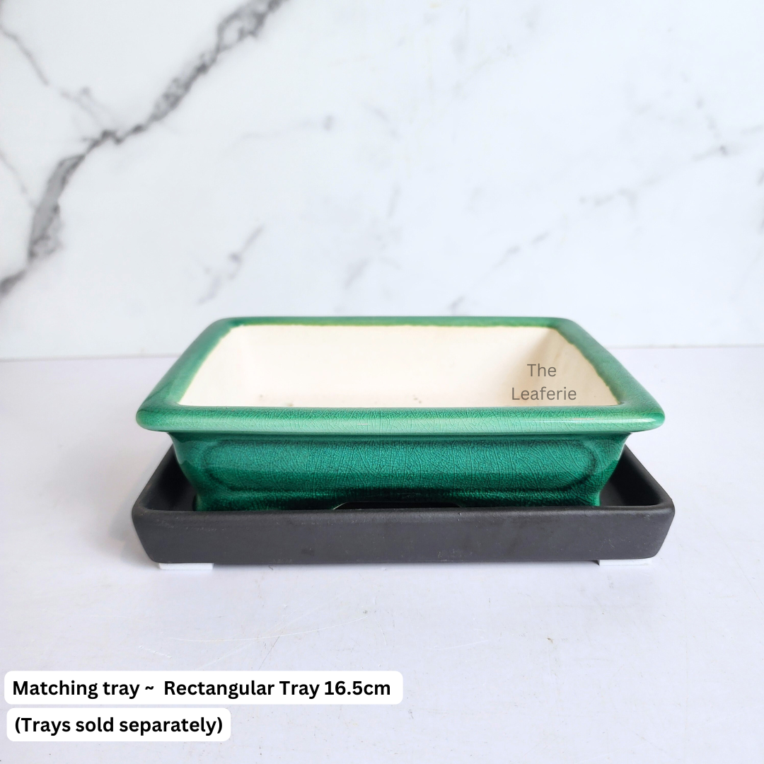 Bonsai Flowerpot (Series 67) Rectangular