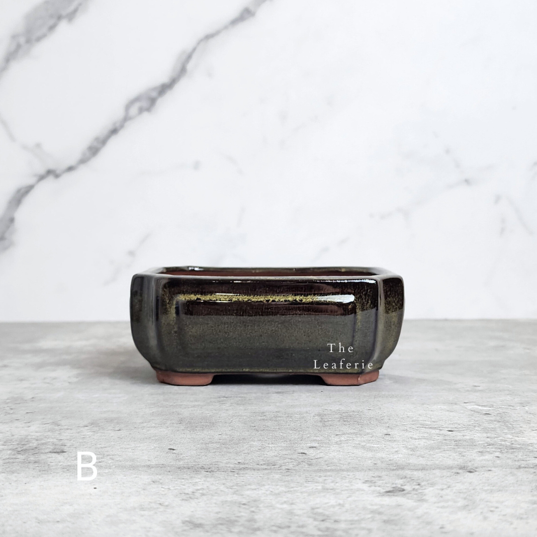 Bonsai Flowerpot (Series 22)