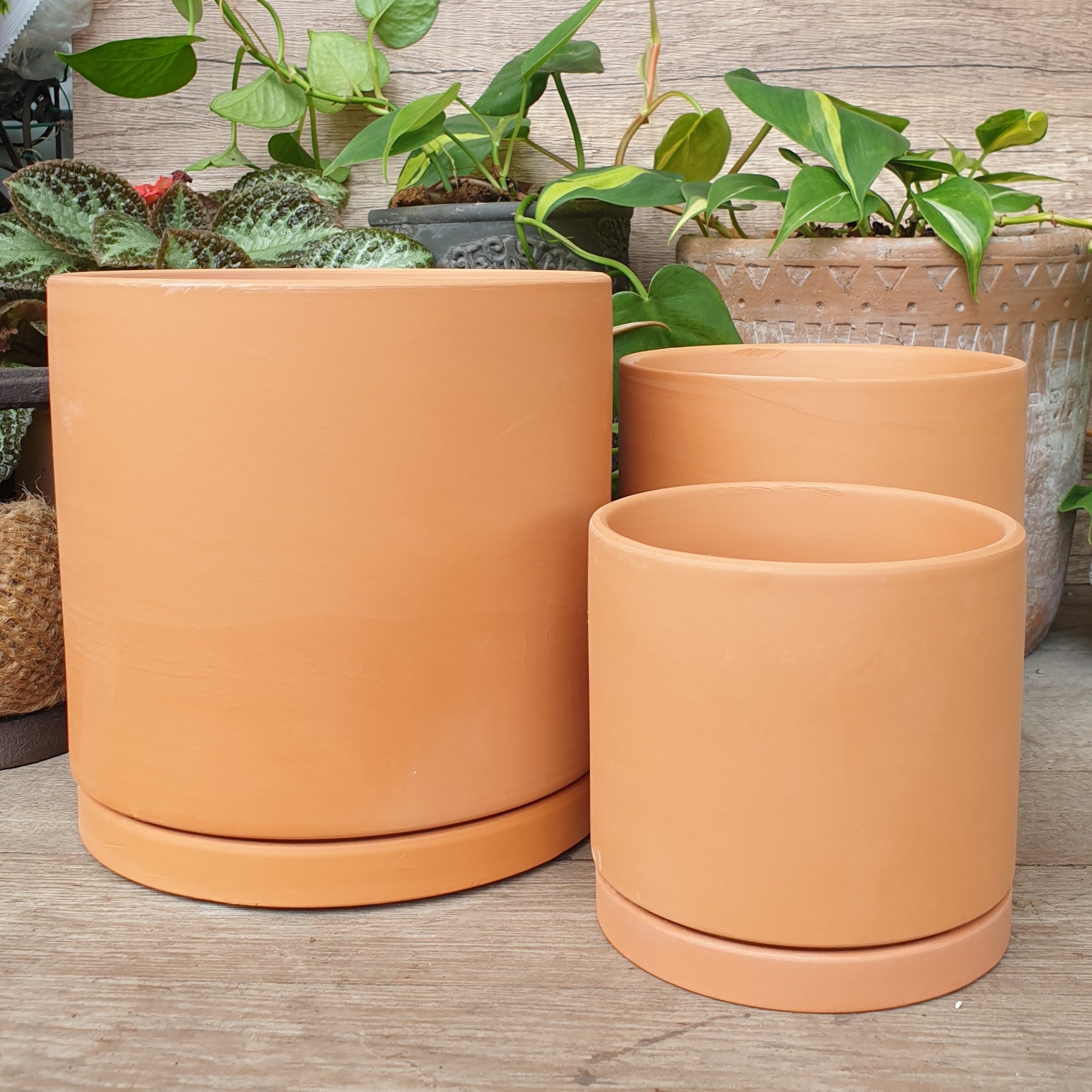 Terracotta E Flowerpot