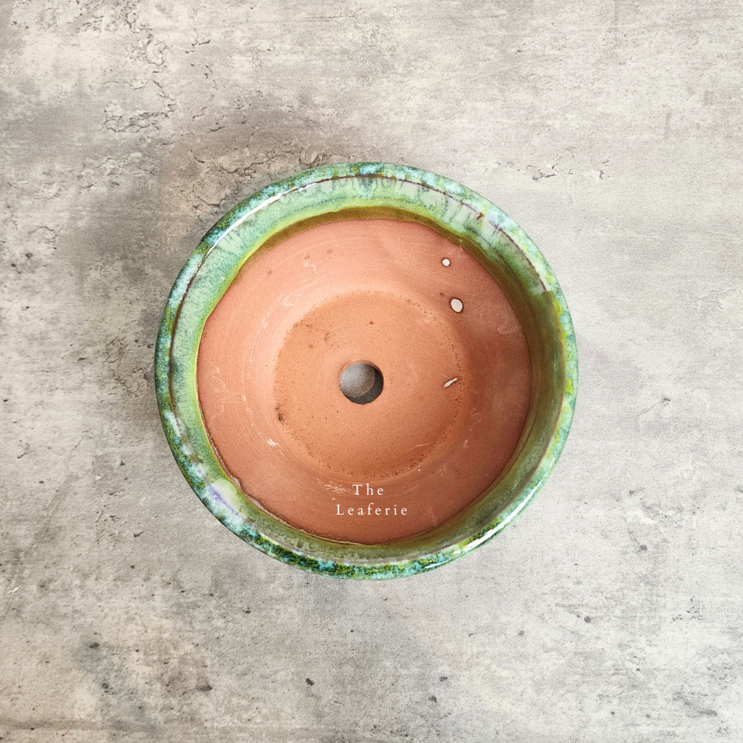 Bonsai Flowerpots (Series 23)