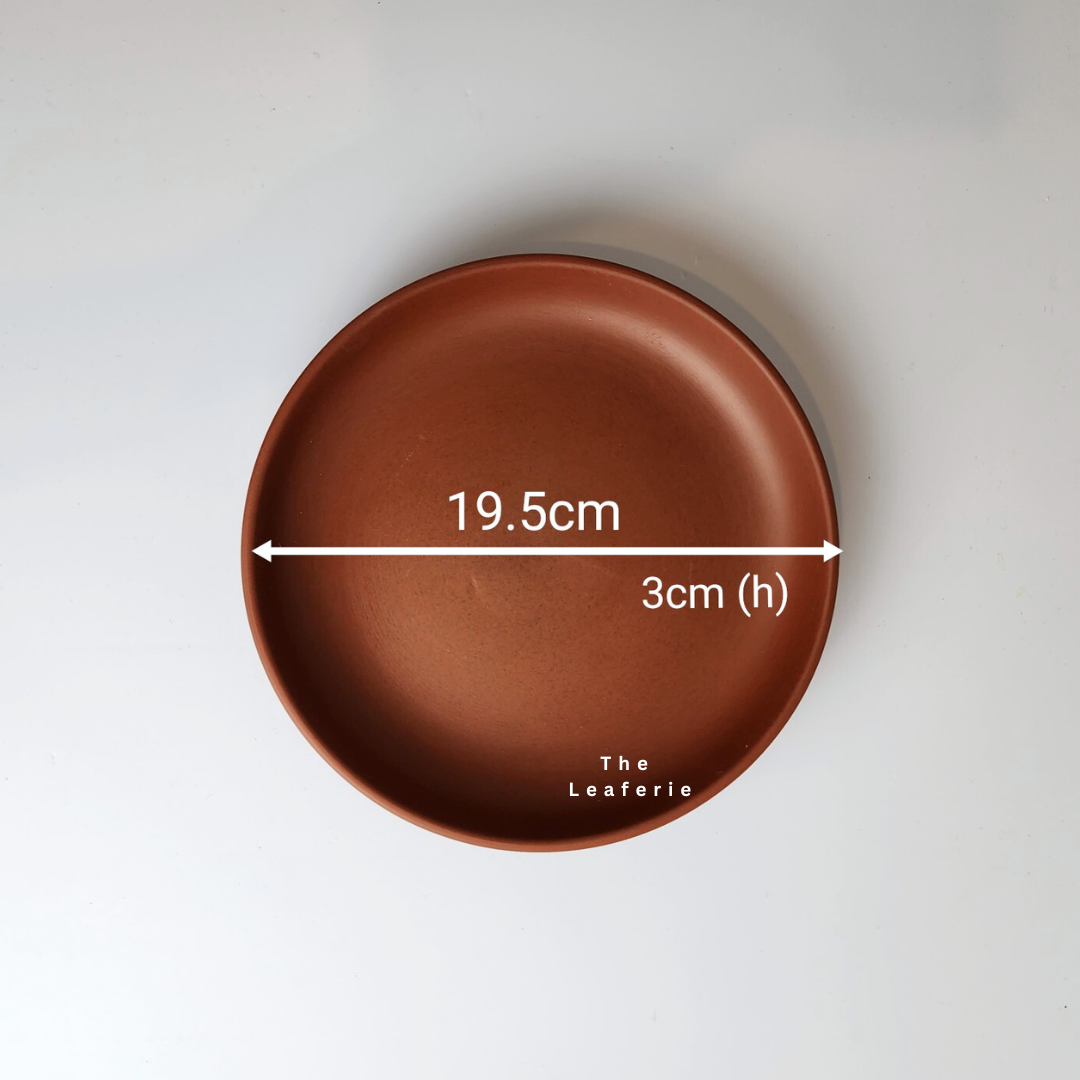 Zisha Large Trays (3 Colours)