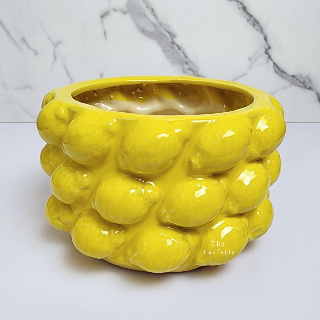 Saburo Lemon Flowerpot