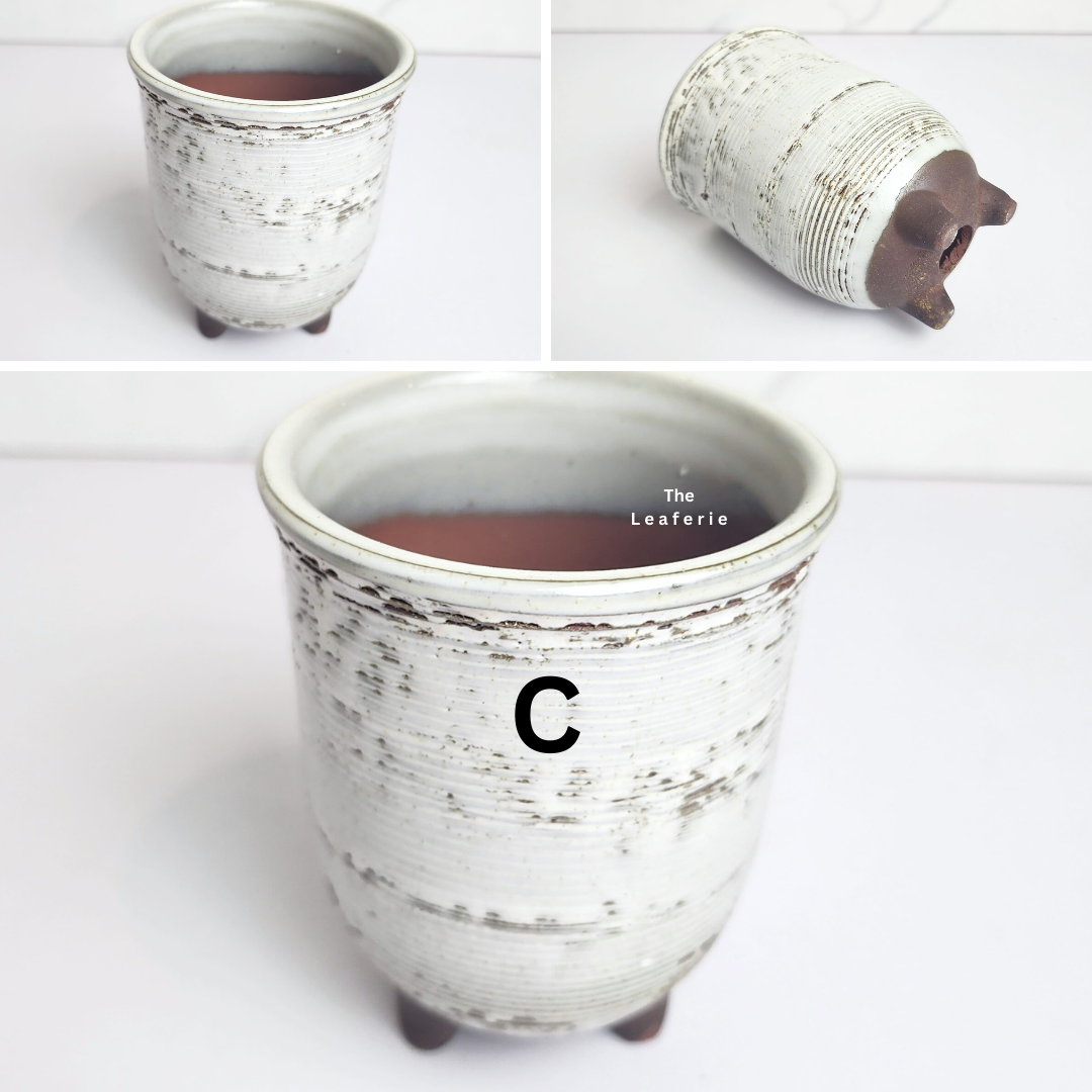 Petit Flowerpots (Series 14)