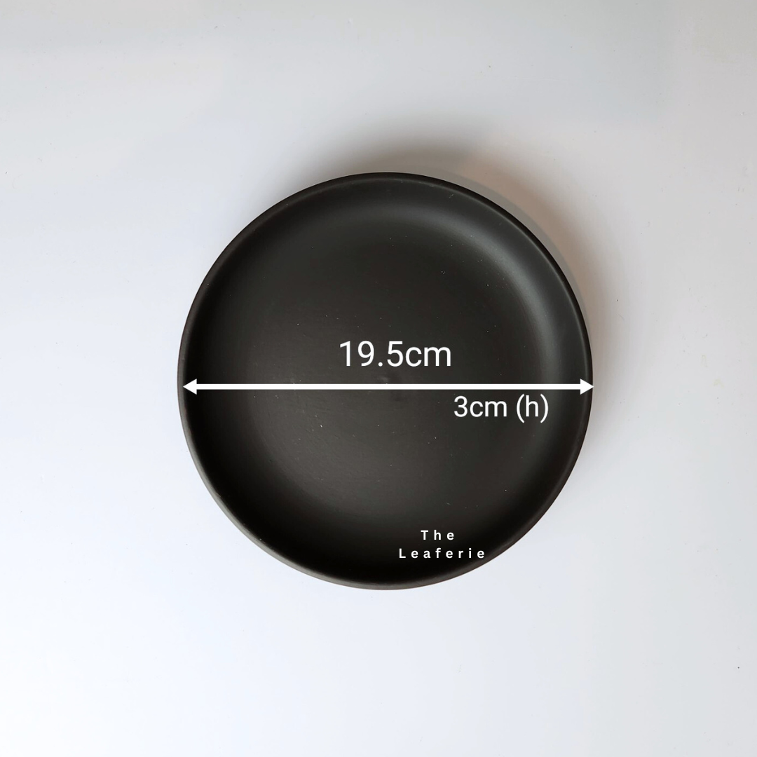 Zisha Large Trays (3 Colours)