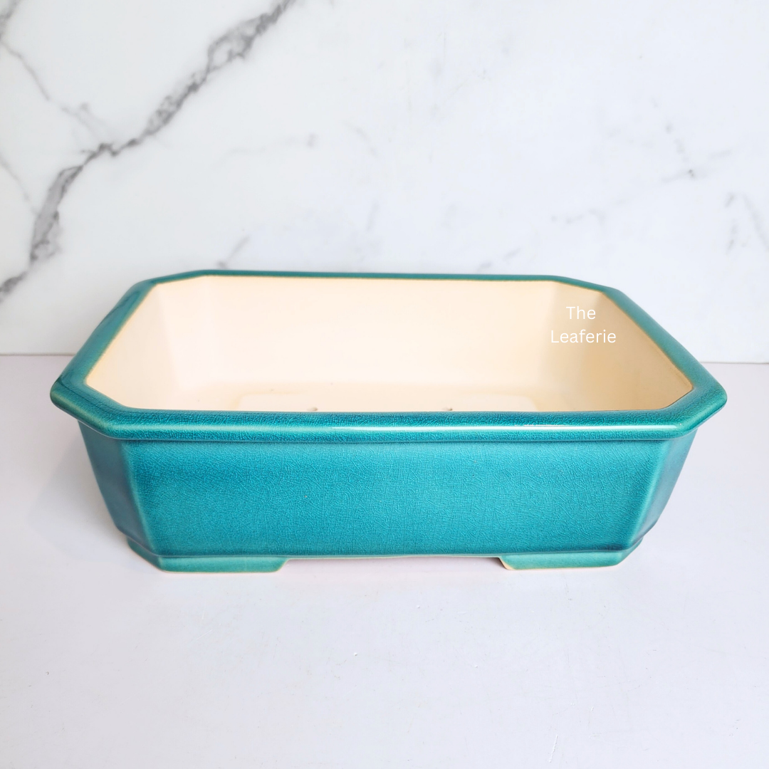 Bonsai Tally (Series 9) Flowerpot