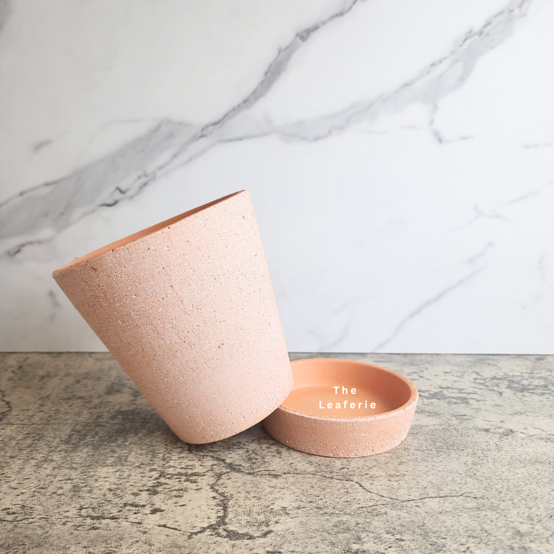 Yael Terracotta Flowerpot (3 sizes)