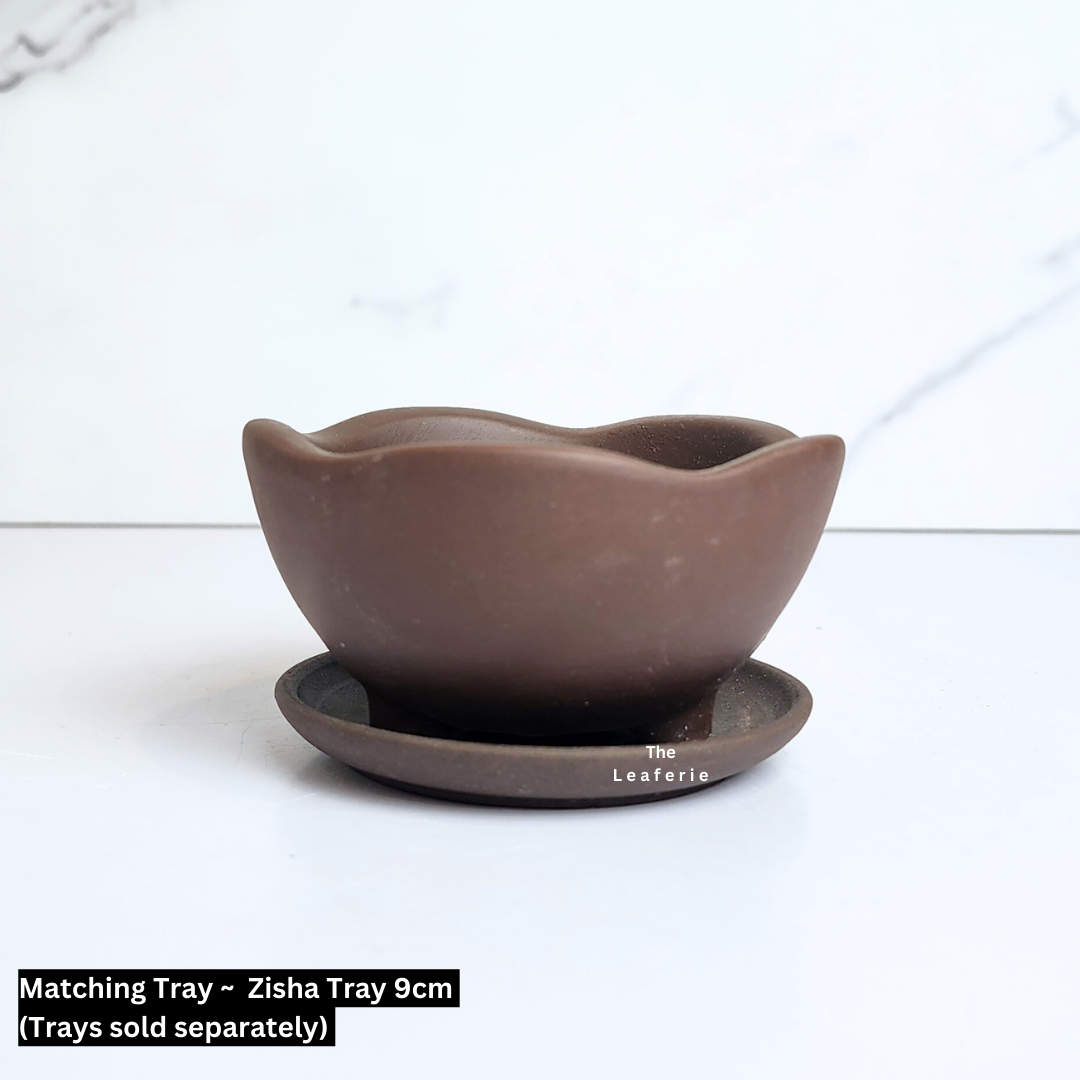 Petit Bonsai Flowerpots (Series 42) Set of 4 pots