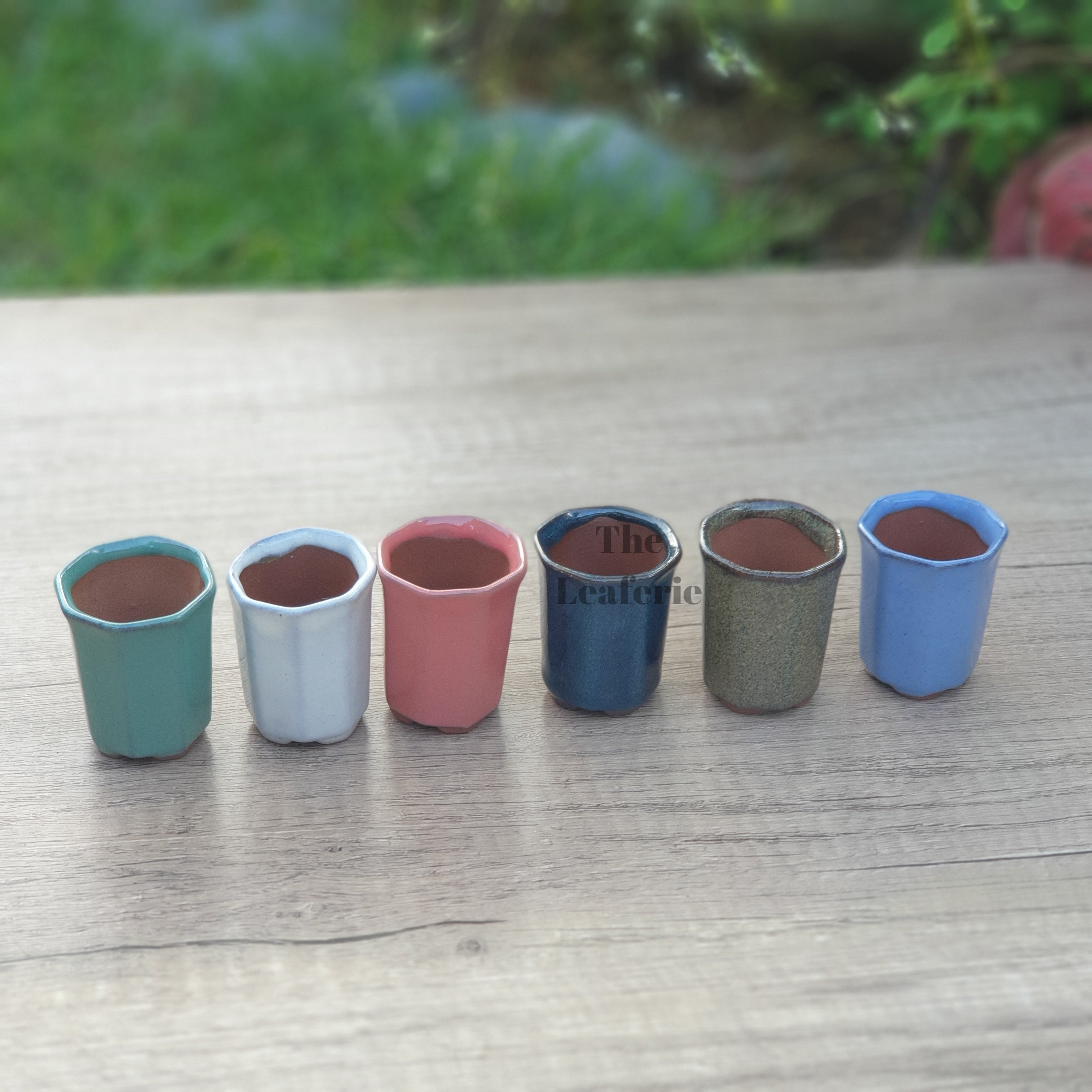 Petit Bonsai Pot (Series 7)