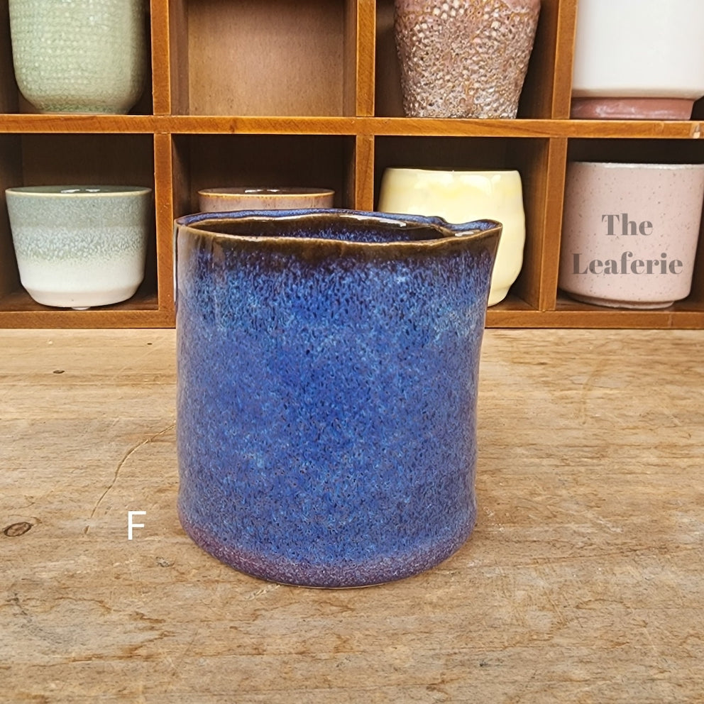 Petit Flowerpots (Series 8)