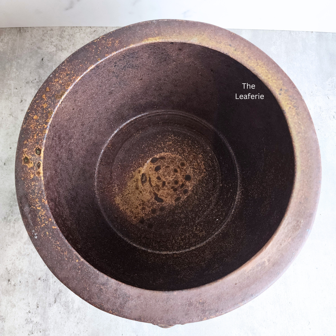 Lorelei Flowerpot (Suitable for Fish Bowl)