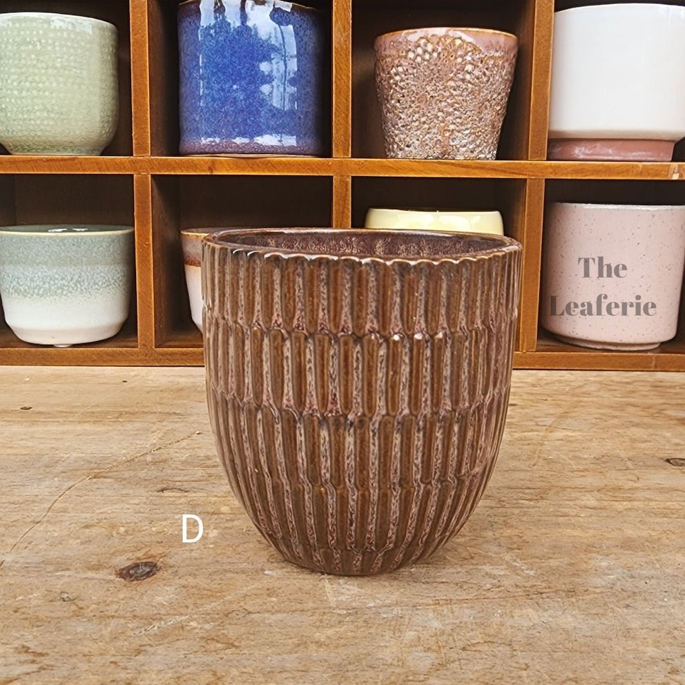 Petit Flowerpots (Series 8)