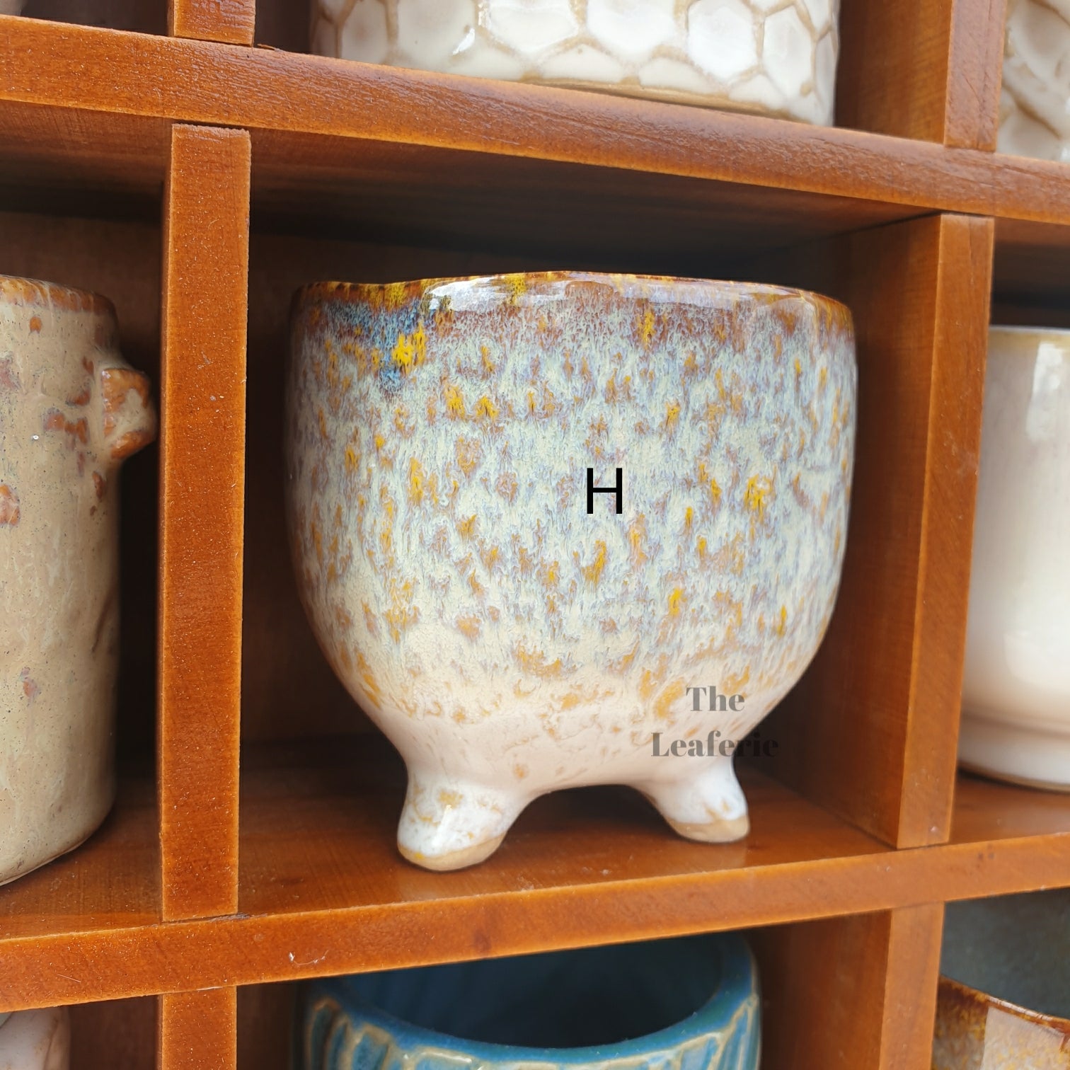 Petit Flowerpots (Series 3)