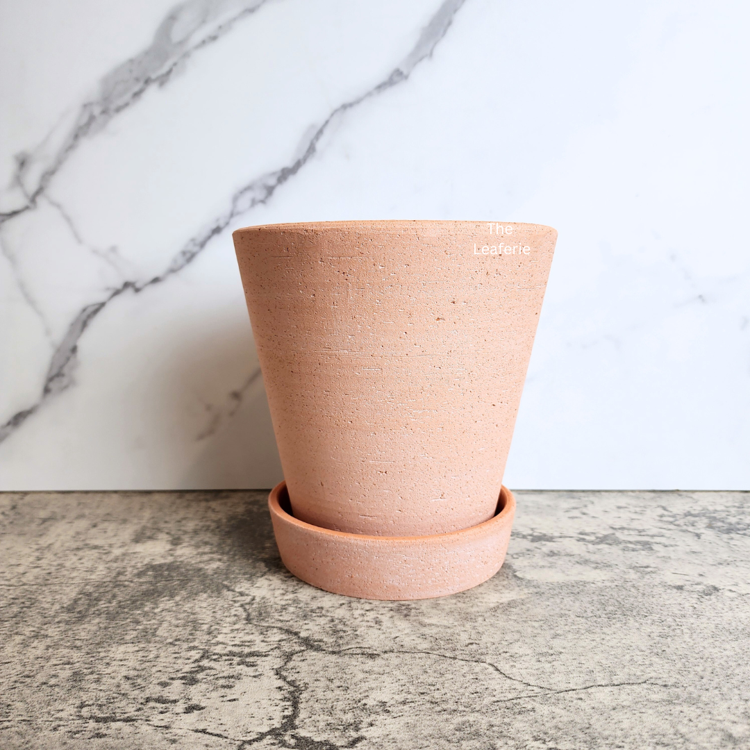 Yael Terracotta Flowerpot (3 sizes)
