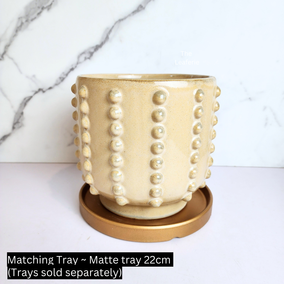 Lindy Flowerpot (2 colours)