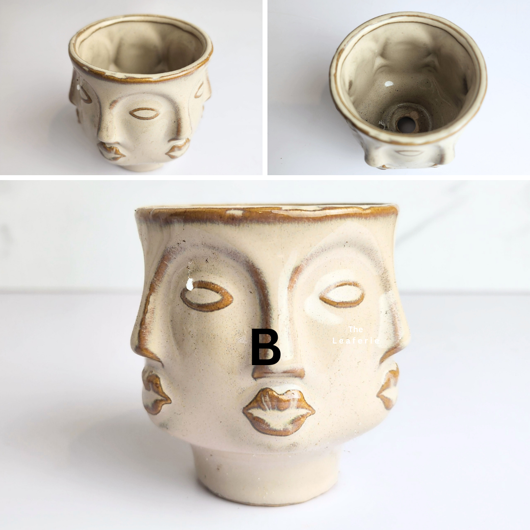 Petit Flowerpots (Series 13)