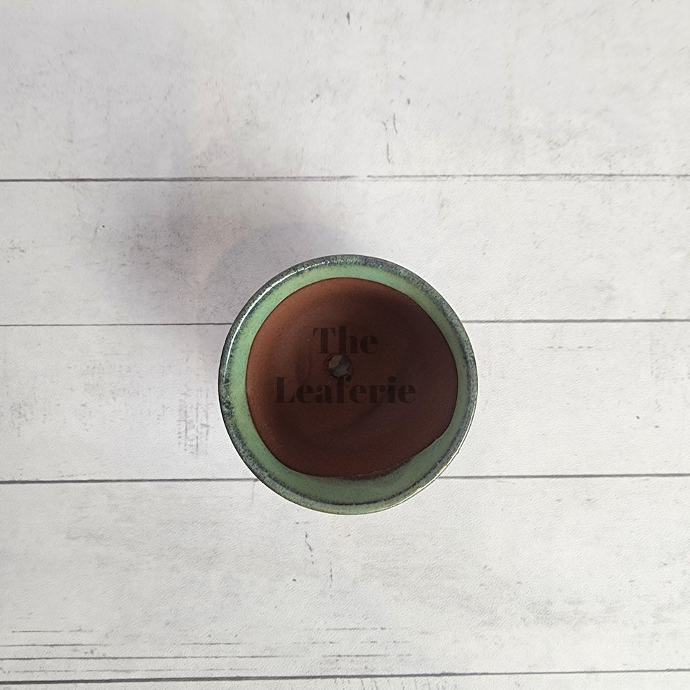 Petit Bonsai Pot (Series 15)