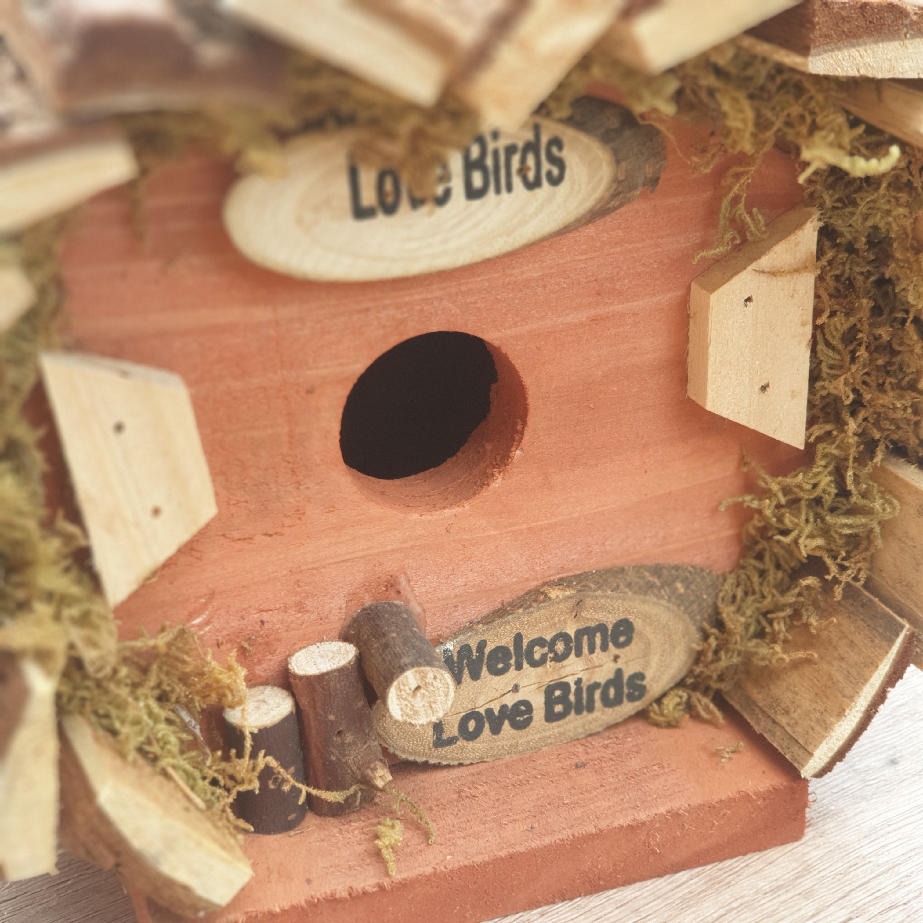 Wooden hanging bird house