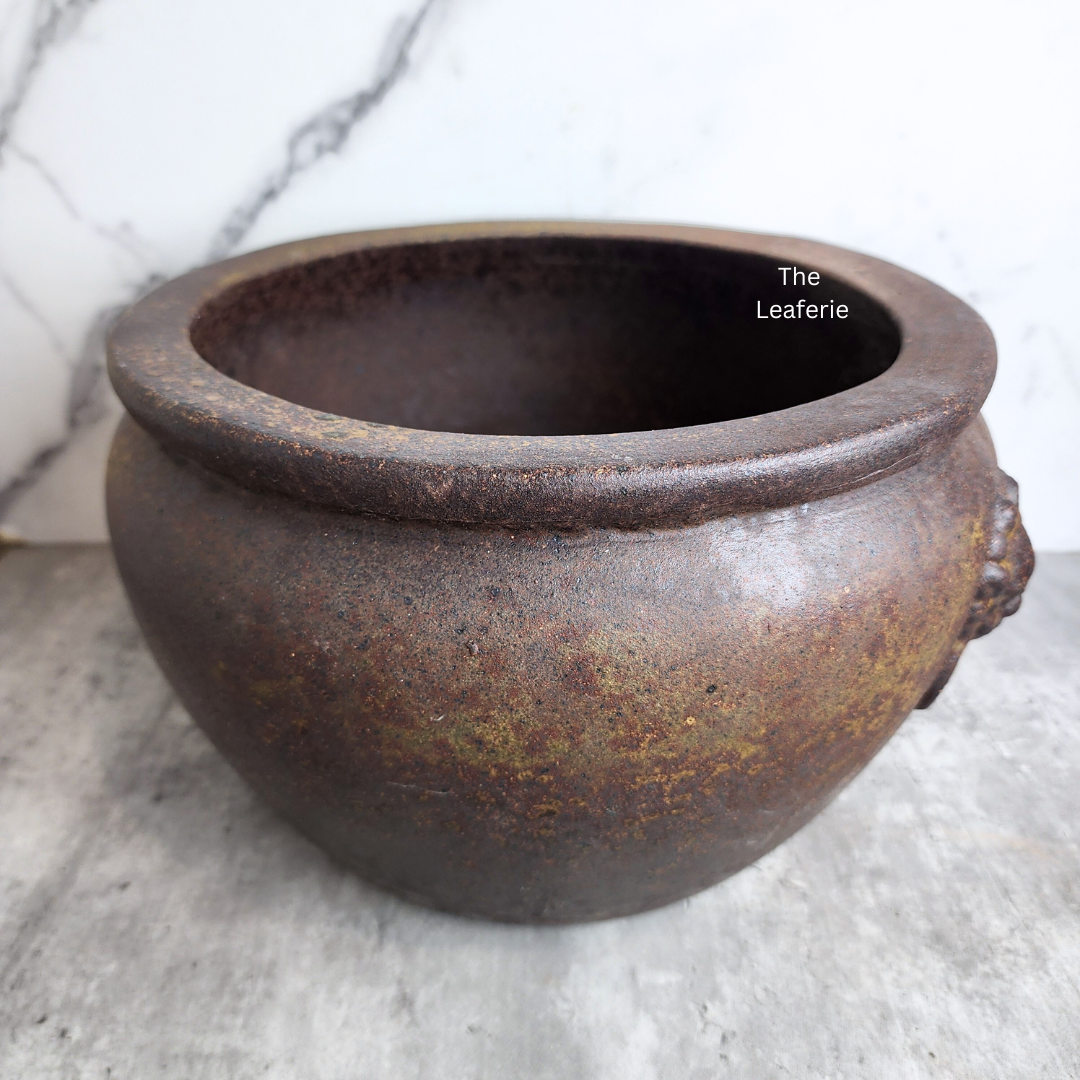 Lorelei Flowerpot (Suitable for Fish Bowl)