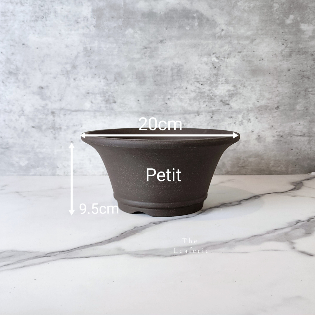 Bonsai Flowerpots (Series 20)