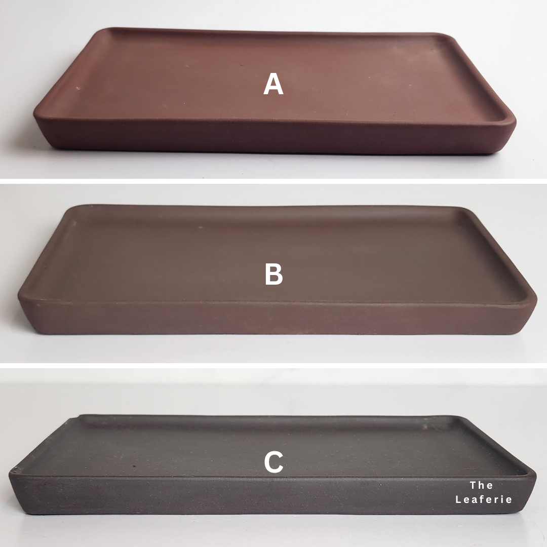 Zisha Rectangular trays (3 Colours)
