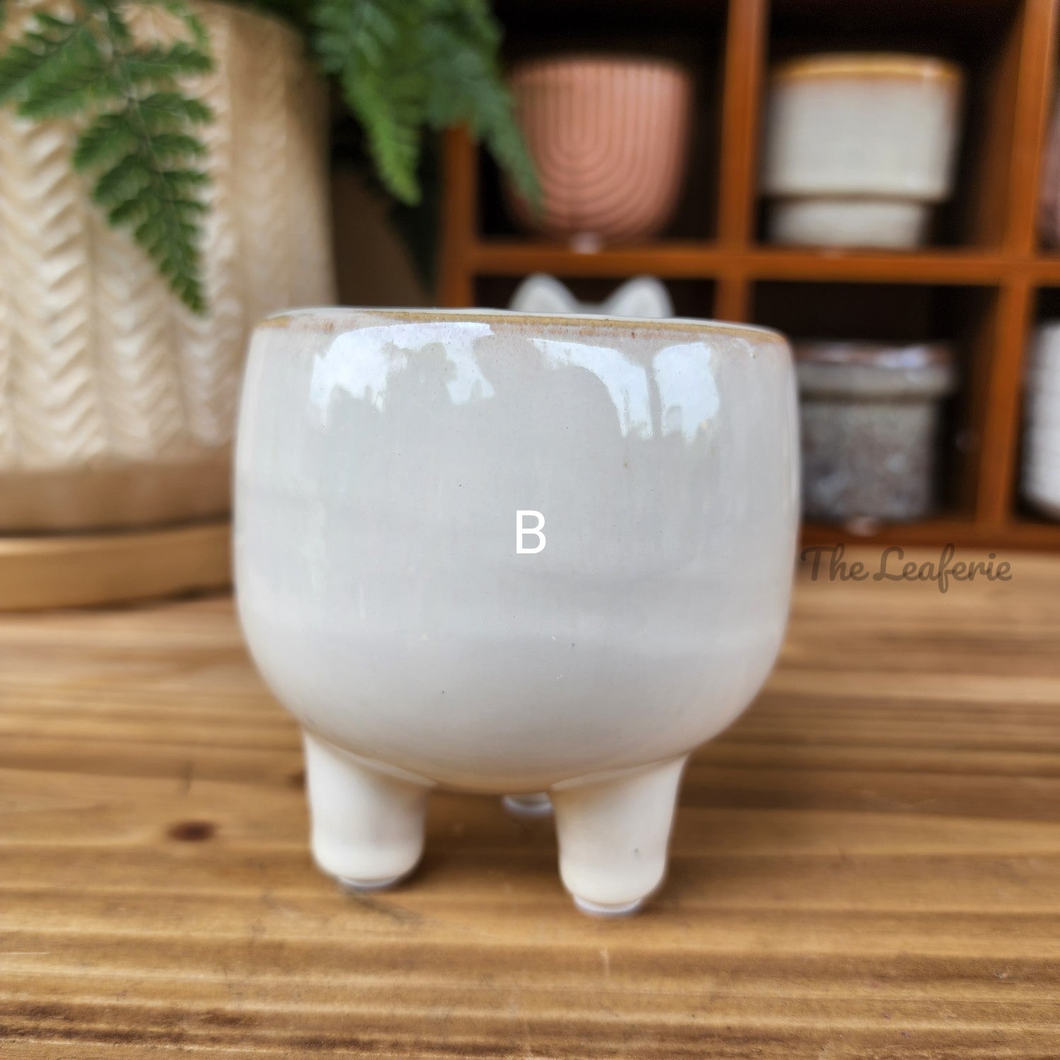 Petit Flowerpots (Series 5)