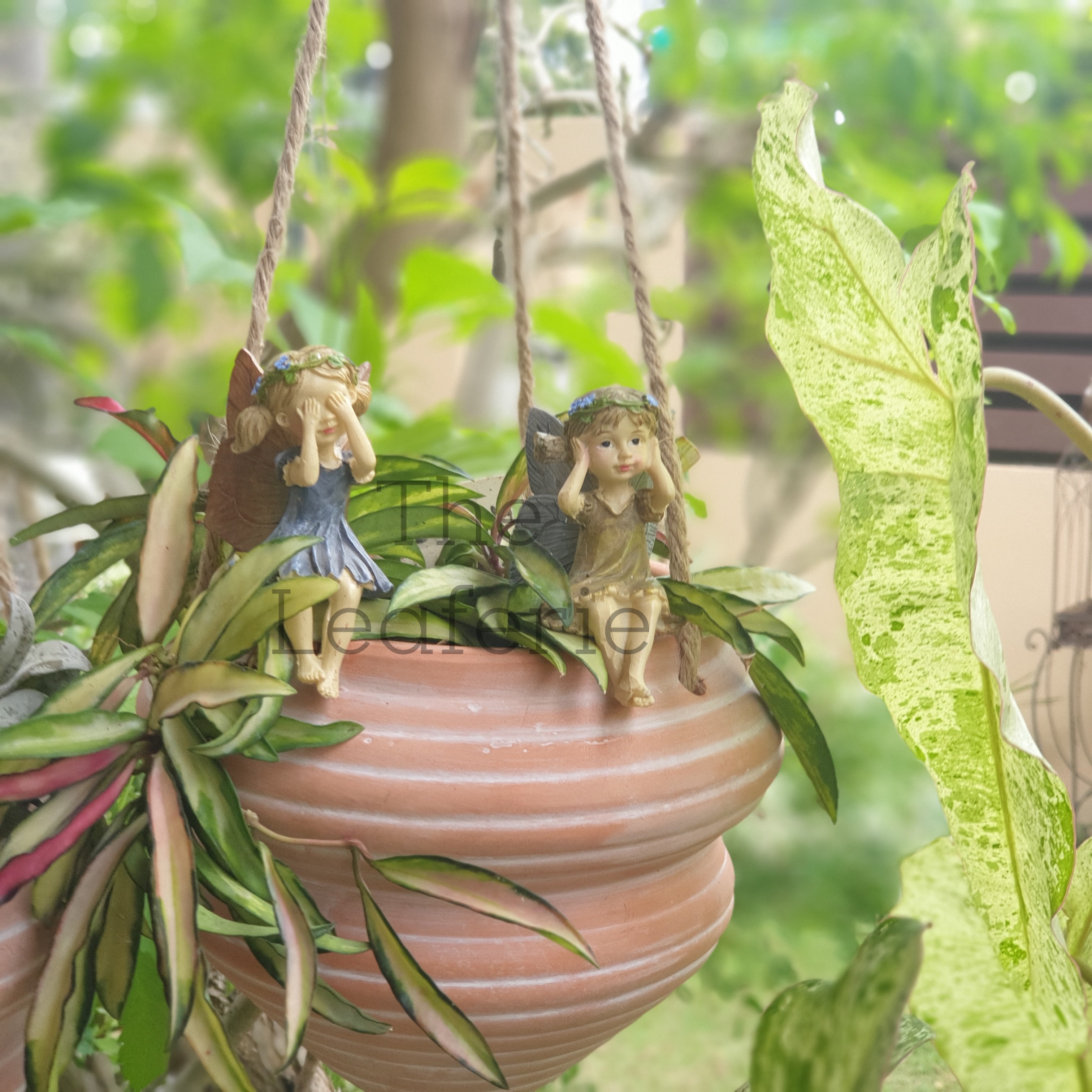 Luke, Leah and Han Garden Decoration set