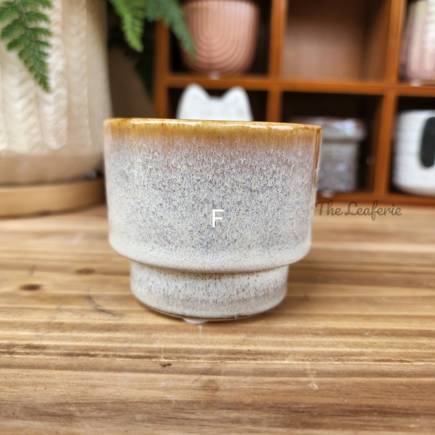 Petit Flowerpots (Series 5)